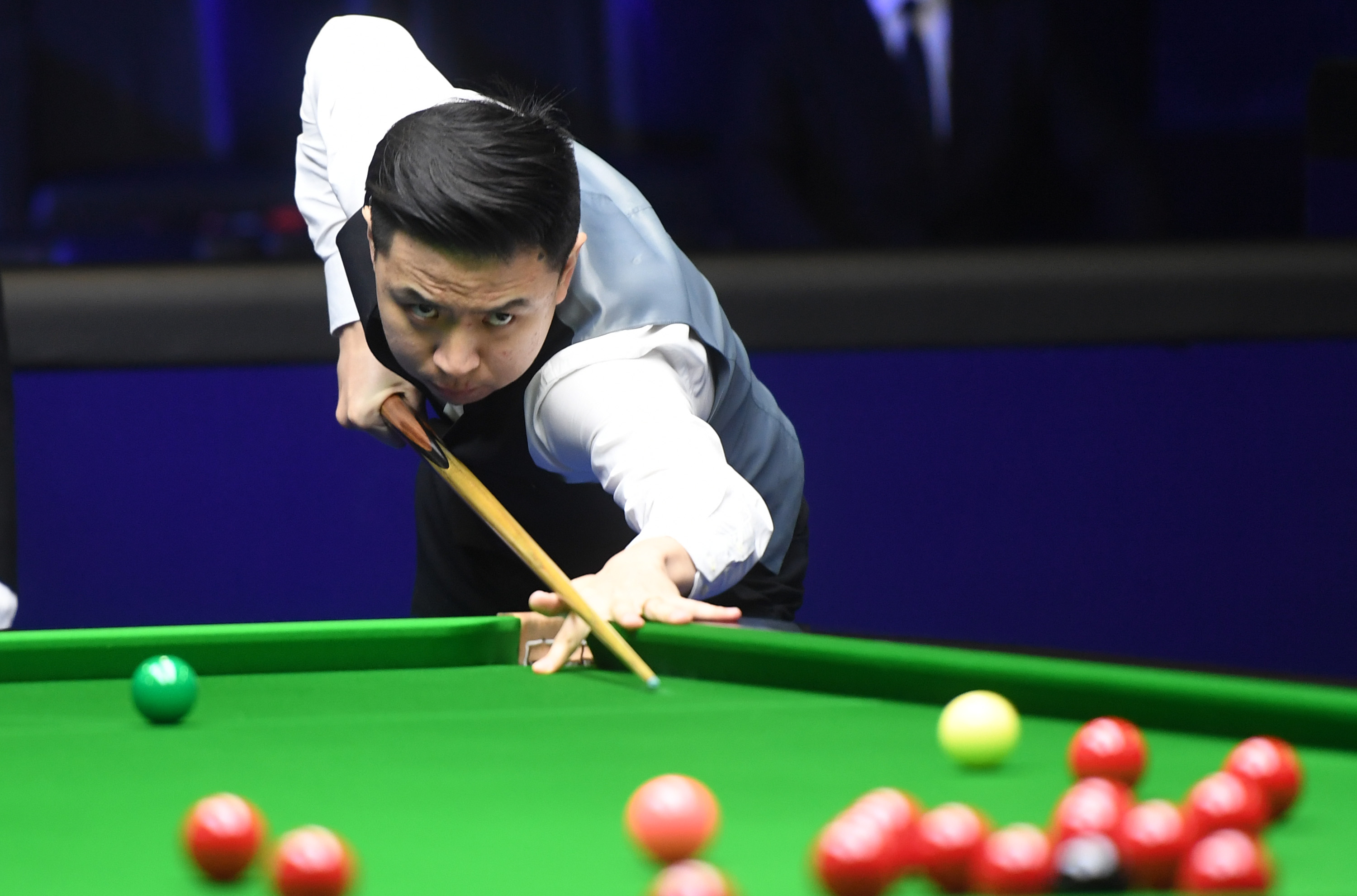 这些条款不 这些条款不